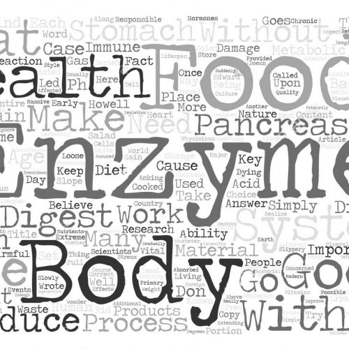Novo Nord Darou Enzymes improve quality of French fries
